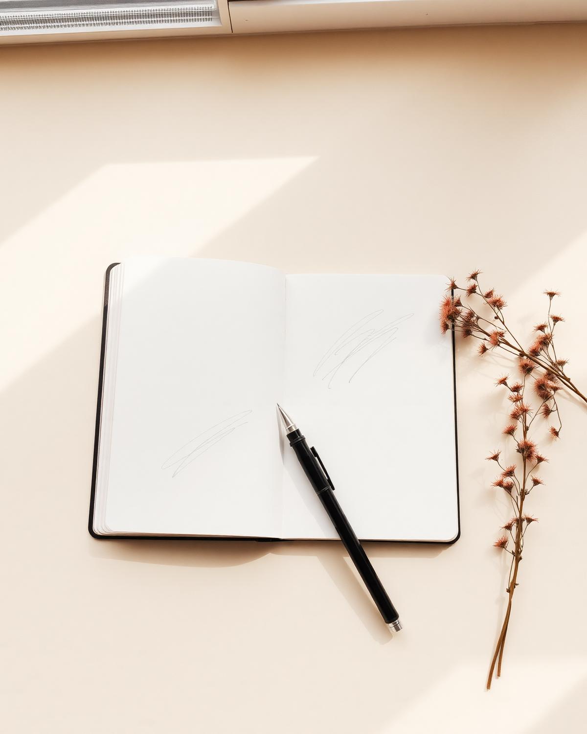 Open sketchbook with dried flowers
